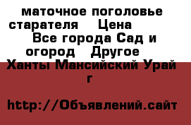 маточное поголовье старателя  › Цена ­ 3 700 - Все города Сад и огород » Другое   . Ханты-Мансийский,Урай г.